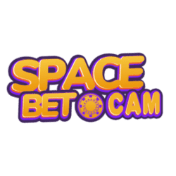 how do you play sudoku for dummies
